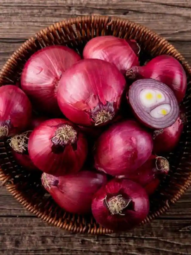6 Steps On How To Store Onion For A Long Time