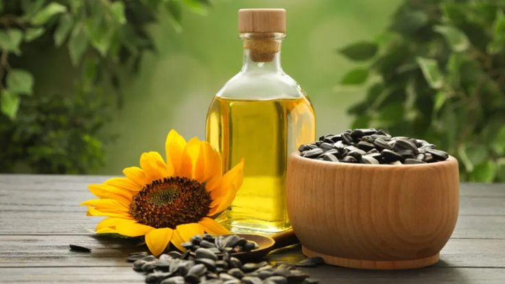 You’ll See Sunflowers Differently After Learning These 10 Facts
